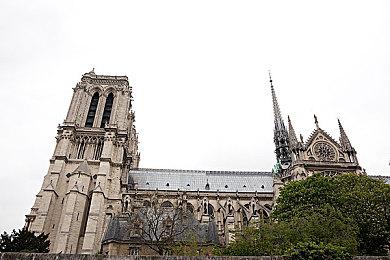 《铁拳》粉丝不满安娜回归形象 反遭制作人怒批